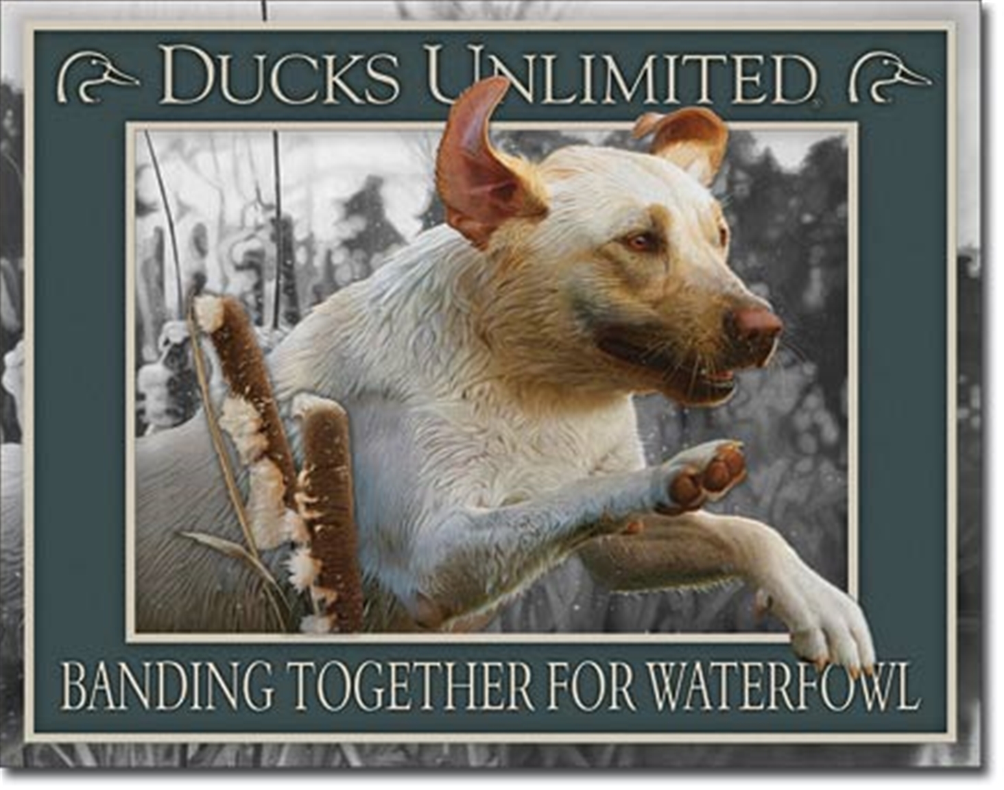 Ducks Unlimited Banding Together Tin Sign